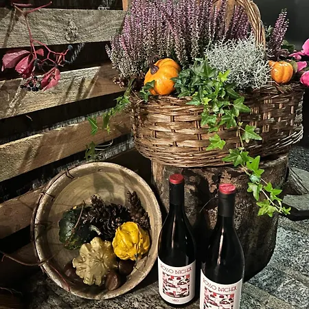 Cà Antonieta Apartamento *